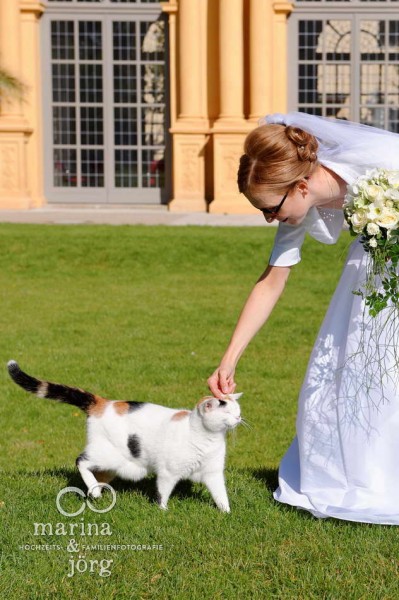 Hochzeitsreportage in Erlangen: Katze schleicht sich in Paarshooting im Schlossgarten